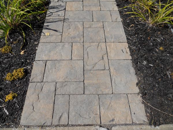 Stamped Concrete Staining in San Marcos